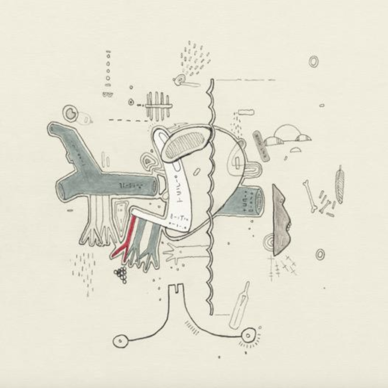 CHVRCHES’ Lauren Mayberry & Many More Contribute to Frightened Rabbit's Covers Album ‘Tiny Changes: A Celebration Of The Midnight Organ Fight’ 